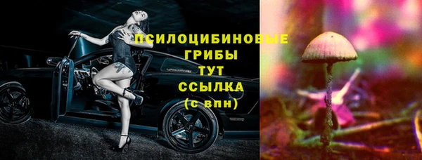 мяу мяу мука Алексеевка