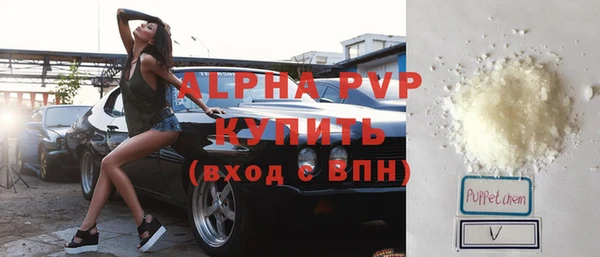 шишки Алзамай