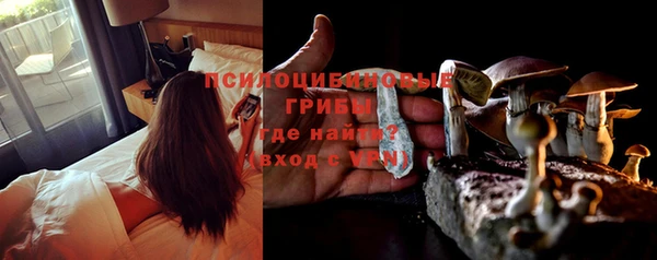шишки Алзамай