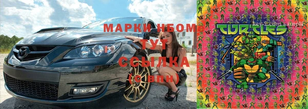 шишки Алзамай