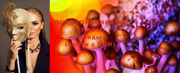мяу мяу мука Алексеевка